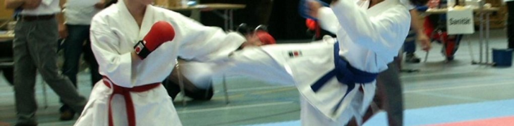 Aargauischer Karateverband