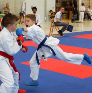 karate-AM2015-1